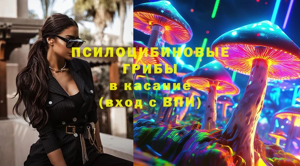 прущий лед Каменка