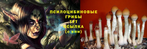 прущий лед Каменка
