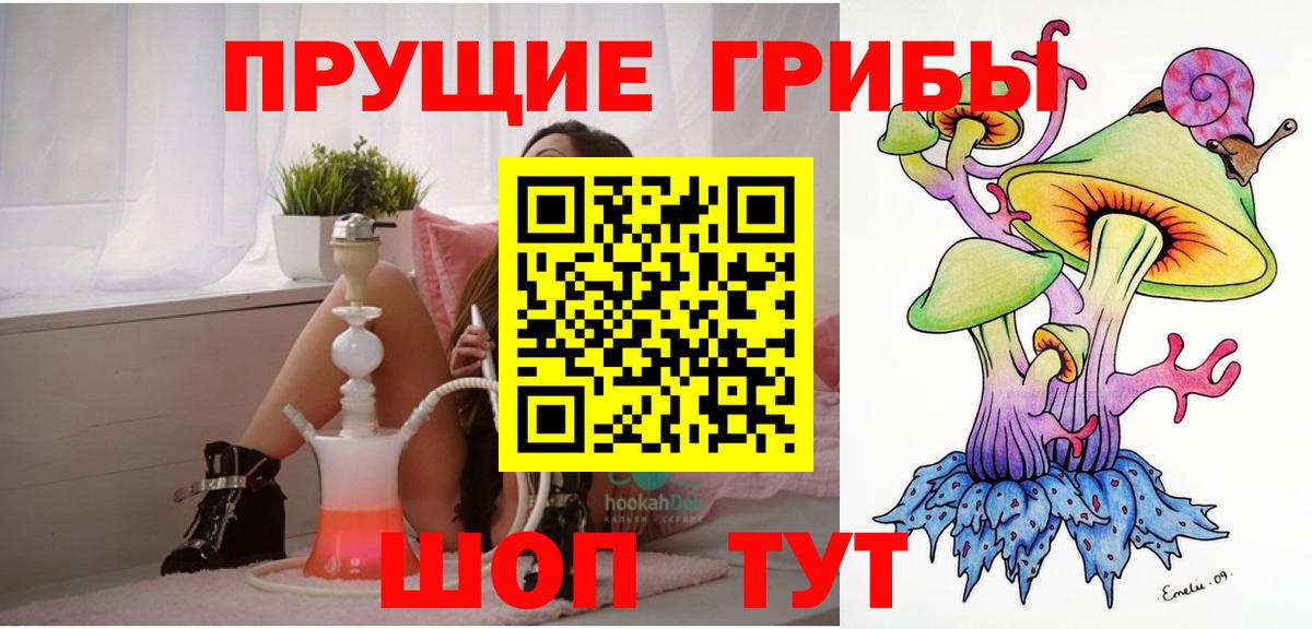 Арзамас  Галлюциногенные грибы мухоморы  Вход с VPN  Галлюциногенные грибы Psilocybe 