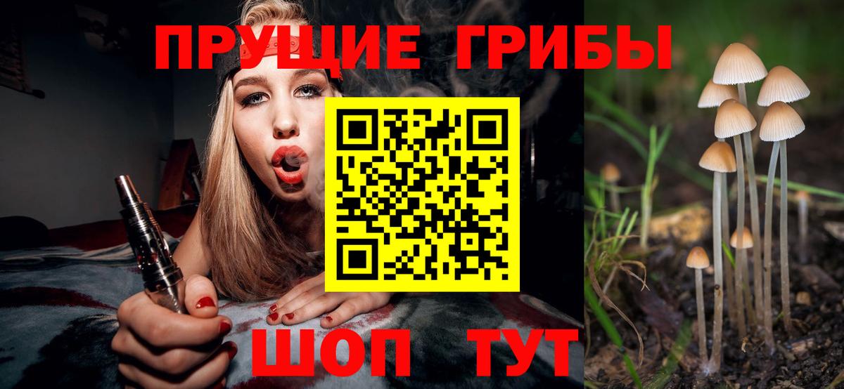 Галлюциногенные грибы Psilocybe Арзамас